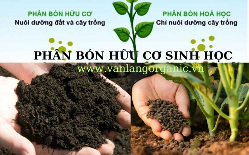 PHÂN BÓN HỮU CƠ SINH HỌC LONG BÌNH